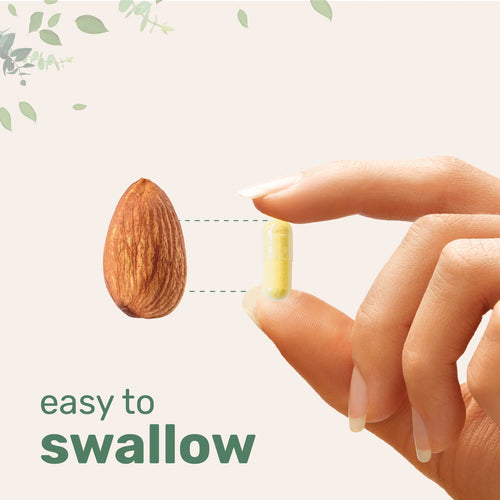 Premium Saffron Extract